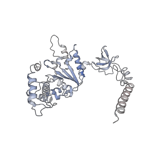 21691_6wjd_A_v1-3
SA-like state of human 26S Proteasome with non-cleavable M1-linked hexaubiquitin and E3 ubiquitin ligase E6AP/UBE3A