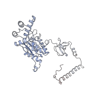 21691_6wjd_B_v1-2
SA-like state of human 26S Proteasome with non-cleavable M1-linked hexaubiquitin and E3 ubiquitin ligase E6AP/UBE3A