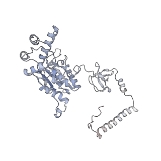 21691_6wjd_B_v1-3
SA-like state of human 26S Proteasome with non-cleavable M1-linked hexaubiquitin and E3 ubiquitin ligase E6AP/UBE3A