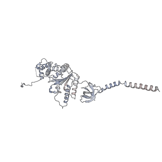 21691_6wjd_D_v1-2
SA-like state of human 26S Proteasome with non-cleavable M1-linked hexaubiquitin and E3 ubiquitin ligase E6AP/UBE3A