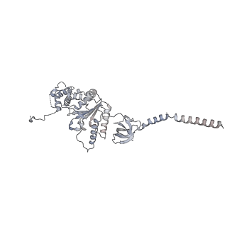 21691_6wjd_D_v1-3
SA-like state of human 26S Proteasome with non-cleavable M1-linked hexaubiquitin and E3 ubiquitin ligase E6AP/UBE3A