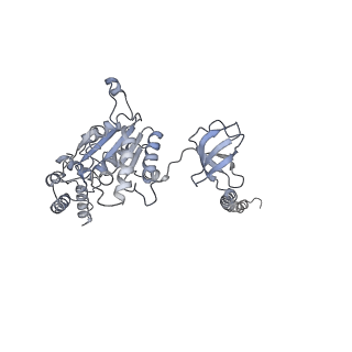 21691_6wjd_E_v1-2
SA-like state of human 26S Proteasome with non-cleavable M1-linked hexaubiquitin and E3 ubiquitin ligase E6AP/UBE3A