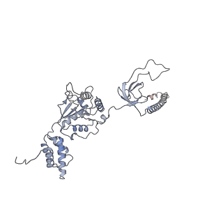 21691_6wjd_F_v1-2
SA-like state of human 26S Proteasome with non-cleavable M1-linked hexaubiquitin and E3 ubiquitin ligase E6AP/UBE3A