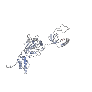 21691_6wjd_F_v1-3
SA-like state of human 26S Proteasome with non-cleavable M1-linked hexaubiquitin and E3 ubiquitin ligase E6AP/UBE3A