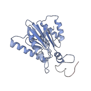 21691_6wjd_G_v1-3
SA-like state of human 26S Proteasome with non-cleavable M1-linked hexaubiquitin and E3 ubiquitin ligase E6AP/UBE3A