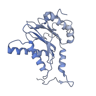 21691_6wjd_H_v1-2
SA-like state of human 26S Proteasome with non-cleavable M1-linked hexaubiquitin and E3 ubiquitin ligase E6AP/UBE3A