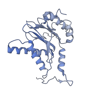 21691_6wjd_H_v1-3
SA-like state of human 26S Proteasome with non-cleavable M1-linked hexaubiquitin and E3 ubiquitin ligase E6AP/UBE3A