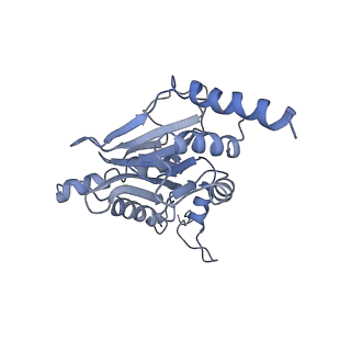 21691_6wjd_I_v1-2
SA-like state of human 26S Proteasome with non-cleavable M1-linked hexaubiquitin and E3 ubiquitin ligase E6AP/UBE3A