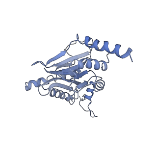 21691_6wjd_I_v1-3
SA-like state of human 26S Proteasome with non-cleavable M1-linked hexaubiquitin and E3 ubiquitin ligase E6AP/UBE3A