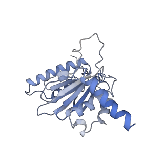 21691_6wjd_J_v1-2
SA-like state of human 26S Proteasome with non-cleavable M1-linked hexaubiquitin and E3 ubiquitin ligase E6AP/UBE3A