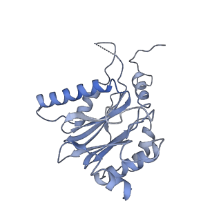 21691_6wjd_K_v1-2
SA-like state of human 26S Proteasome with non-cleavable M1-linked hexaubiquitin and E3 ubiquitin ligase E6AP/UBE3A