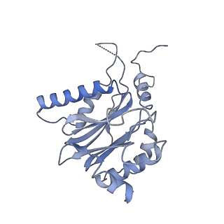 21691_6wjd_K_v1-3
SA-like state of human 26S Proteasome with non-cleavable M1-linked hexaubiquitin and E3 ubiquitin ligase E6AP/UBE3A