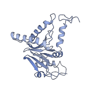 21691_6wjd_L_v1-2
SA-like state of human 26S Proteasome with non-cleavable M1-linked hexaubiquitin and E3 ubiquitin ligase E6AP/UBE3A