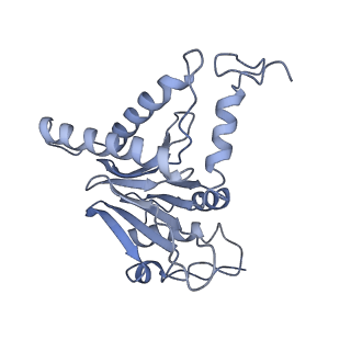 21691_6wjd_L_v1-3
SA-like state of human 26S Proteasome with non-cleavable M1-linked hexaubiquitin and E3 ubiquitin ligase E6AP/UBE3A