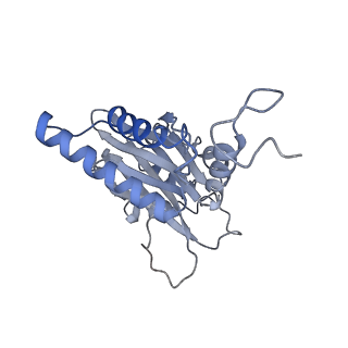 21691_6wjd_M_v1-2
SA-like state of human 26S Proteasome with non-cleavable M1-linked hexaubiquitin and E3 ubiquitin ligase E6AP/UBE3A