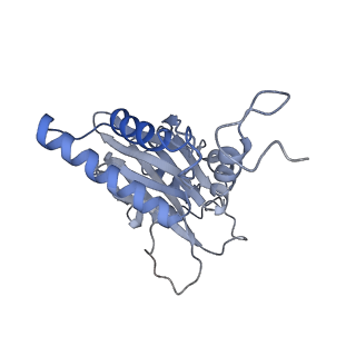 21691_6wjd_M_v1-3
SA-like state of human 26S Proteasome with non-cleavable M1-linked hexaubiquitin and E3 ubiquitin ligase E6AP/UBE3A