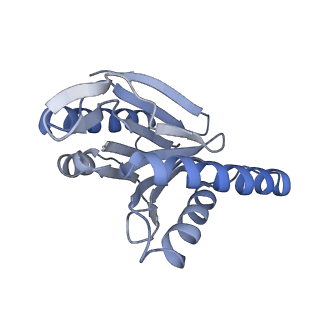 21691_6wjd_N_v1-2
SA-like state of human 26S Proteasome with non-cleavable M1-linked hexaubiquitin and E3 ubiquitin ligase E6AP/UBE3A