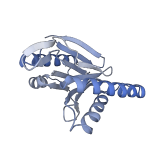 21691_6wjd_N_v1-3
SA-like state of human 26S Proteasome with non-cleavable M1-linked hexaubiquitin and E3 ubiquitin ligase E6AP/UBE3A