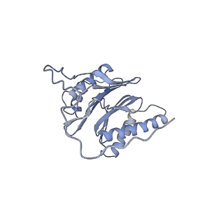 21691_6wjd_O_v1-2
SA-like state of human 26S Proteasome with non-cleavable M1-linked hexaubiquitin and E3 ubiquitin ligase E6AP/UBE3A