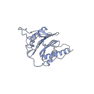 21691_6wjd_O_v1-3
SA-like state of human 26S Proteasome with non-cleavable M1-linked hexaubiquitin and E3 ubiquitin ligase E6AP/UBE3A