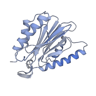 21691_6wjd_P_v1-2
SA-like state of human 26S Proteasome with non-cleavable M1-linked hexaubiquitin and E3 ubiquitin ligase E6AP/UBE3A