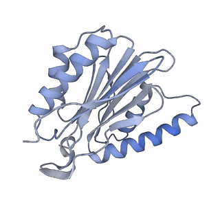 21691_6wjd_P_v1-3
SA-like state of human 26S Proteasome with non-cleavable M1-linked hexaubiquitin and E3 ubiquitin ligase E6AP/UBE3A