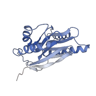 21691_6wjd_Q_v1-2
SA-like state of human 26S Proteasome with non-cleavable M1-linked hexaubiquitin and E3 ubiquitin ligase E6AP/UBE3A
