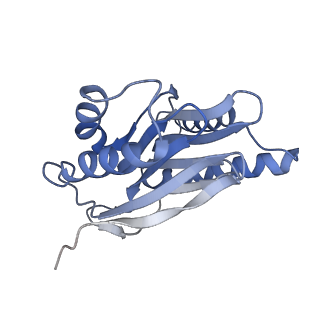 21691_6wjd_Q_v1-3
SA-like state of human 26S Proteasome with non-cleavable M1-linked hexaubiquitin and E3 ubiquitin ligase E6AP/UBE3A