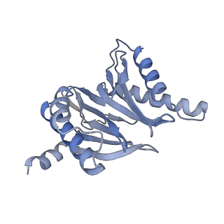 21691_6wjd_R_v1-2
SA-like state of human 26S Proteasome with non-cleavable M1-linked hexaubiquitin and E3 ubiquitin ligase E6AP/UBE3A