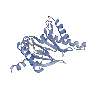 21691_6wjd_R_v1-3
SA-like state of human 26S Proteasome with non-cleavable M1-linked hexaubiquitin and E3 ubiquitin ligase E6AP/UBE3A