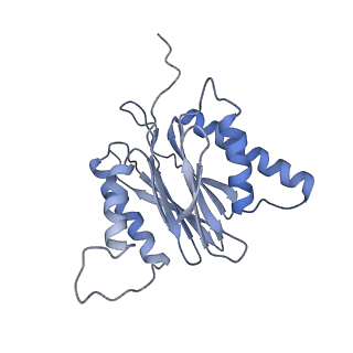 21691_6wjd_S_v1-2
SA-like state of human 26S Proteasome with non-cleavable M1-linked hexaubiquitin and E3 ubiquitin ligase E6AP/UBE3A