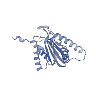 21691_6wjd_T_v1-2
SA-like state of human 26S Proteasome with non-cleavable M1-linked hexaubiquitin and E3 ubiquitin ligase E6AP/UBE3A