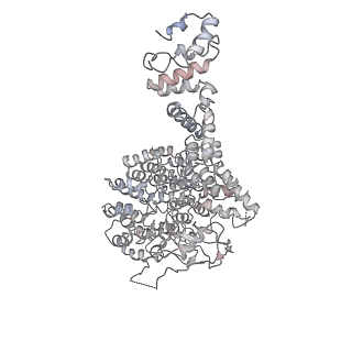 21691_6wjd_U_v1-2
SA-like state of human 26S Proteasome with non-cleavable M1-linked hexaubiquitin and E3 ubiquitin ligase E6AP/UBE3A