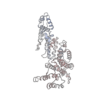 21691_6wjd_V_v1-2
SA-like state of human 26S Proteasome with non-cleavable M1-linked hexaubiquitin and E3 ubiquitin ligase E6AP/UBE3A