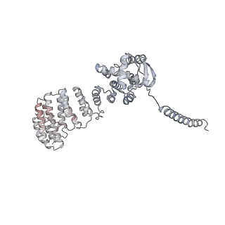 21691_6wjd_W_v1-2
SA-like state of human 26S Proteasome with non-cleavable M1-linked hexaubiquitin and E3 ubiquitin ligase E6AP/UBE3A