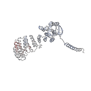 21691_6wjd_W_v1-3
SA-like state of human 26S Proteasome with non-cleavable M1-linked hexaubiquitin and E3 ubiquitin ligase E6AP/UBE3A