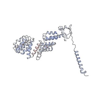 21691_6wjd_X_v1-2
SA-like state of human 26S Proteasome with non-cleavable M1-linked hexaubiquitin and E3 ubiquitin ligase E6AP/UBE3A