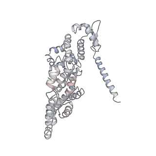 21691_6wjd_Y_v1-2
SA-like state of human 26S Proteasome with non-cleavable M1-linked hexaubiquitin and E3 ubiquitin ligase E6AP/UBE3A