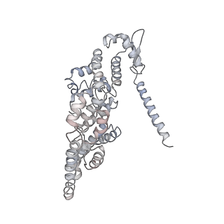 21691_6wjd_Y_v1-3
SA-like state of human 26S Proteasome with non-cleavable M1-linked hexaubiquitin and E3 ubiquitin ligase E6AP/UBE3A