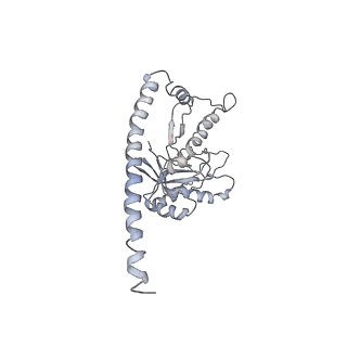 21691_6wjd_Z_v1-2
SA-like state of human 26S Proteasome with non-cleavable M1-linked hexaubiquitin and E3 ubiquitin ligase E6AP/UBE3A