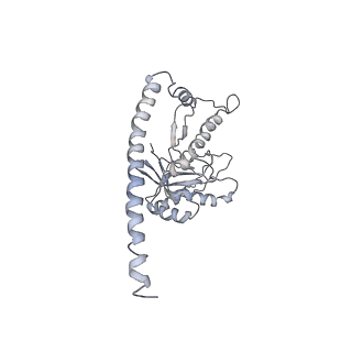 21691_6wjd_Z_v1-3
SA-like state of human 26S Proteasome with non-cleavable M1-linked hexaubiquitin and E3 ubiquitin ligase E6AP/UBE3A