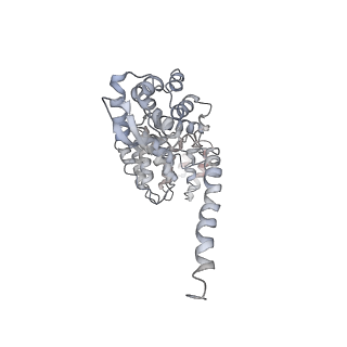 21691_6wjd_a_v1-2
SA-like state of human 26S Proteasome with non-cleavable M1-linked hexaubiquitin and E3 ubiquitin ligase E6AP/UBE3A
