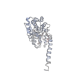 21691_6wjd_a_v1-3
SA-like state of human 26S Proteasome with non-cleavable M1-linked hexaubiquitin and E3 ubiquitin ligase E6AP/UBE3A