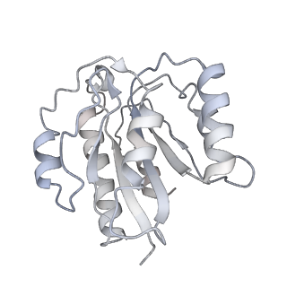 21691_6wjd_b_v1-2
SA-like state of human 26S Proteasome with non-cleavable M1-linked hexaubiquitin and E3 ubiquitin ligase E6AP/UBE3A
