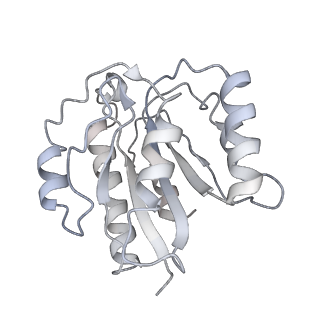 21691_6wjd_b_v1-3
SA-like state of human 26S Proteasome with non-cleavable M1-linked hexaubiquitin and E3 ubiquitin ligase E6AP/UBE3A