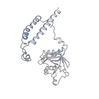 21691_6wjd_c_v1-2
SA-like state of human 26S Proteasome with non-cleavable M1-linked hexaubiquitin and E3 ubiquitin ligase E6AP/UBE3A