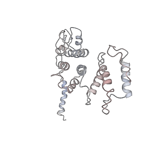 21691_6wjd_d_v1-2
SA-like state of human 26S Proteasome with non-cleavable M1-linked hexaubiquitin and E3 ubiquitin ligase E6AP/UBE3A