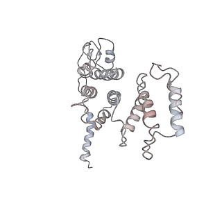 21691_6wjd_d_v1-3
SA-like state of human 26S Proteasome with non-cleavable M1-linked hexaubiquitin and E3 ubiquitin ligase E6AP/UBE3A