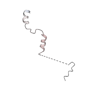 21691_6wjd_e_v1-2
SA-like state of human 26S Proteasome with non-cleavable M1-linked hexaubiquitin and E3 ubiquitin ligase E6AP/UBE3A
