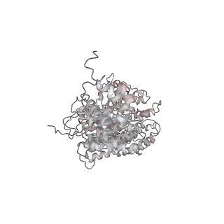 21691_6wjd_f_v1-2
SA-like state of human 26S Proteasome with non-cleavable M1-linked hexaubiquitin and E3 ubiquitin ligase E6AP/UBE3A